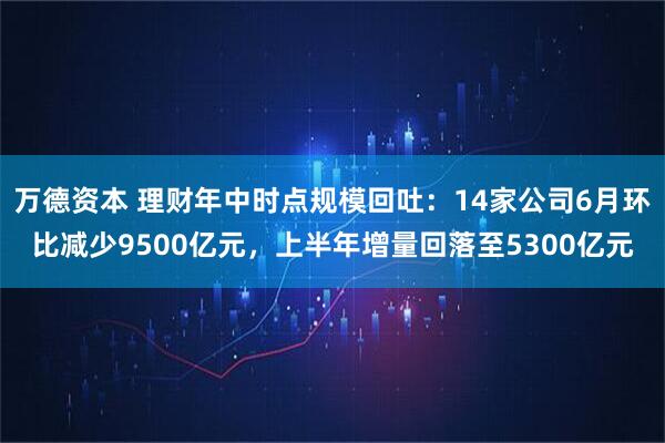 万德资本 理财年中时点规模回吐：14家公司6月环比减少9500亿元，上半年增量回落至5300亿元
