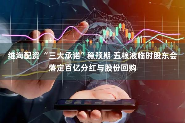 维海配资 “三大承诺”稳预期 五粮液临时股东会落定百亿分红与股份回购