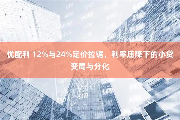 优配利 12%与24%定价拉锯，利率压降下的小贷变局与分化